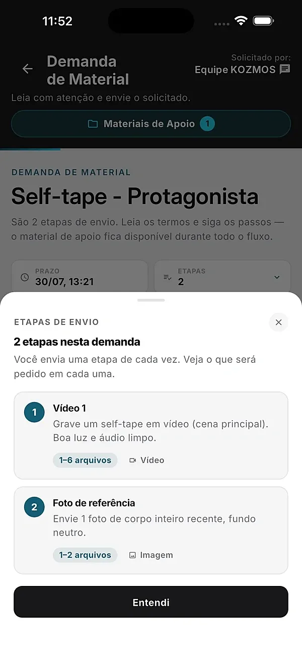 Etapas de envio de uma demanda no app: vídeo e foto de referência